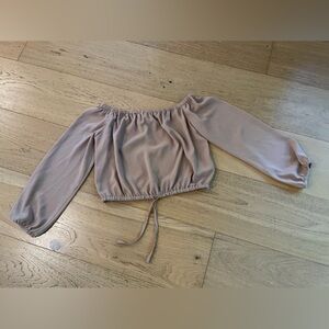 Aritzia - Wilfred sheer blouse